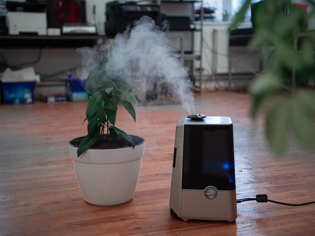 Air Purifier vs Humidifier